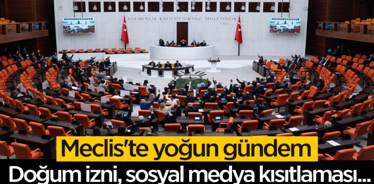 Meclis'te yoğun gündem: Doğum izni, sosyal medya kısıtlaması?v=1