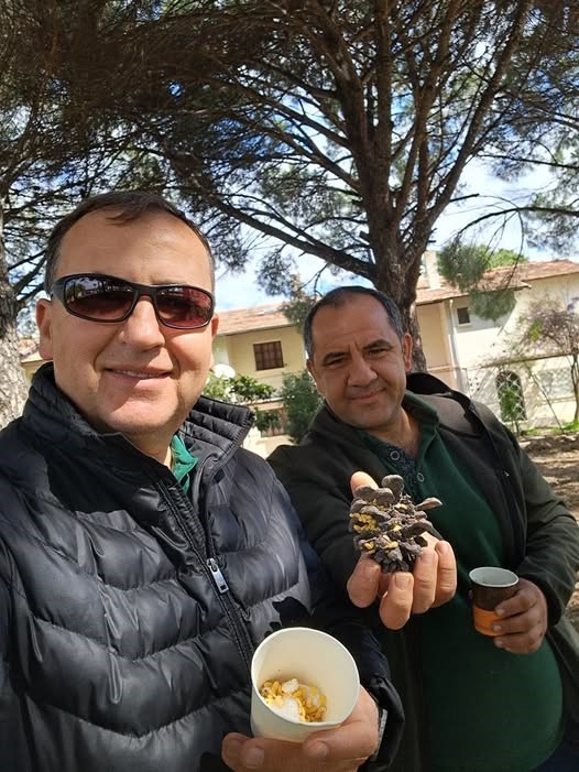 Türkiye çam balı üretiminde dünya birincisi
?v=1