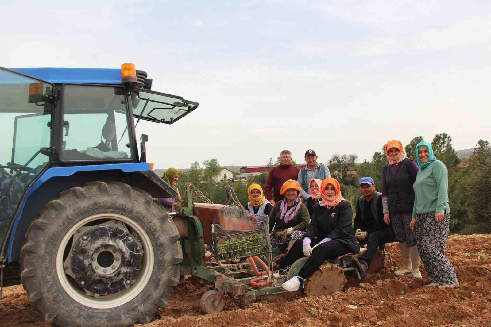 Poşusunu takan Kaymakam Kuran üreticilerle birlikte kekik dikti
?v=1