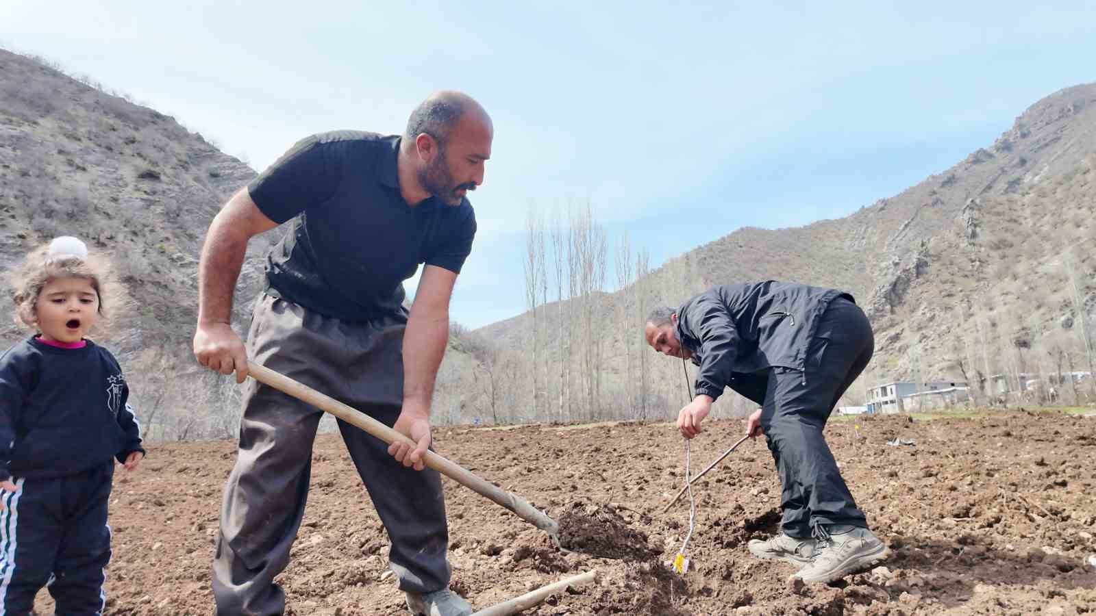 Şırnaklı çiftçi devlet desteğiyle bütün arazisine meyve fidanı dikti
?v=1