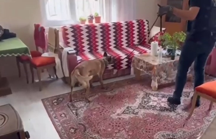 Silah tacirlerine operasyon: Çok sayıda silah ve uyuşturucu ele geçirildi
?v=1