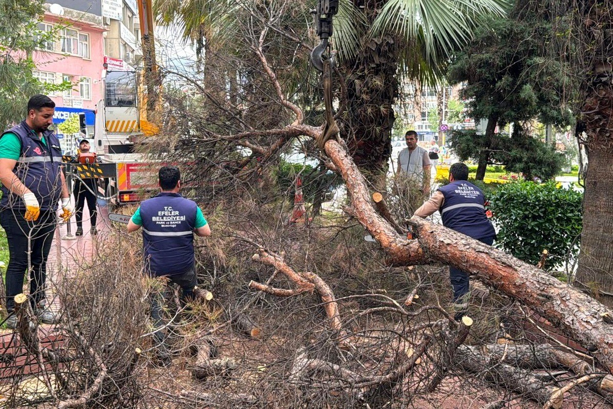 Efeler Belediyesi parkları güvenli hale getiriyor
?v=1