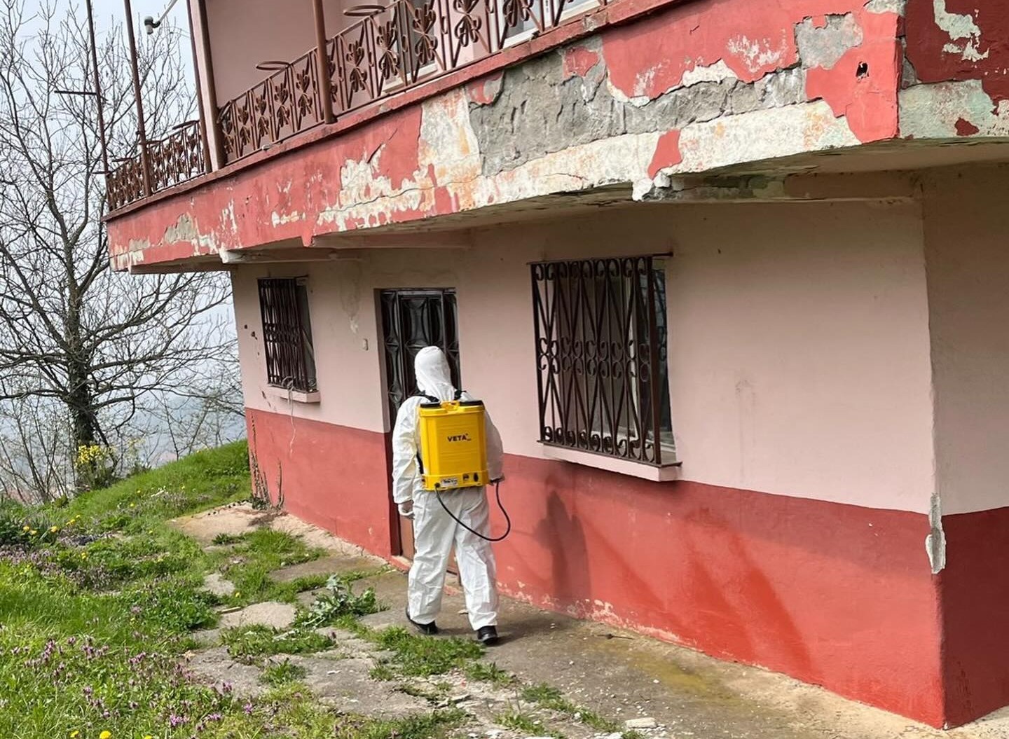 Kaynaşlı ve Yığılca’da Kahverengi Kokarcayla mücadele sürüyor
?v=1