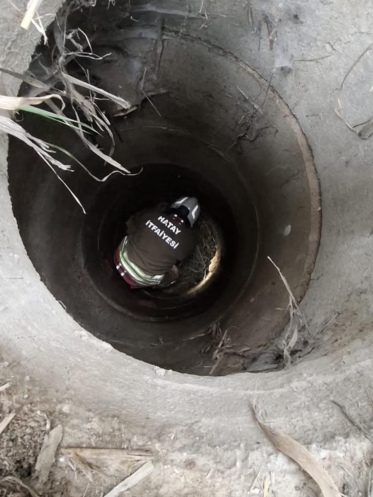 Antakya’da kuyuya düşen köpeği itfaiye kurtardı
?v=1