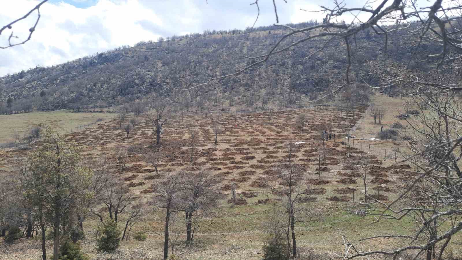 Bozkır’da 13 dönümlük alanda dev ağaçlandırma projesi
?v=1