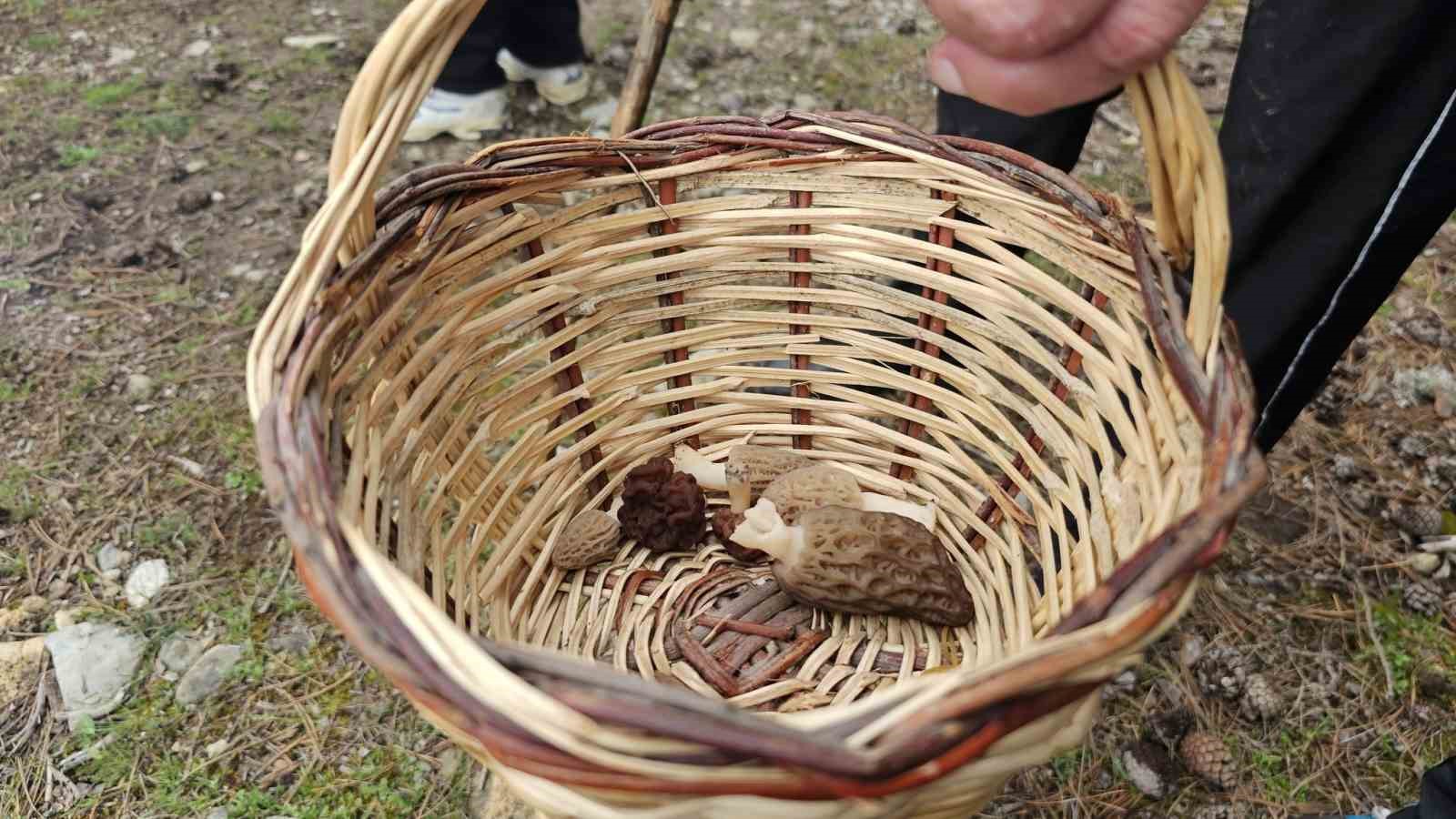 Beyşehir’de doğa tutkunları hem yürüyüş hem de kuzugöbeği için buluştu
?v=1