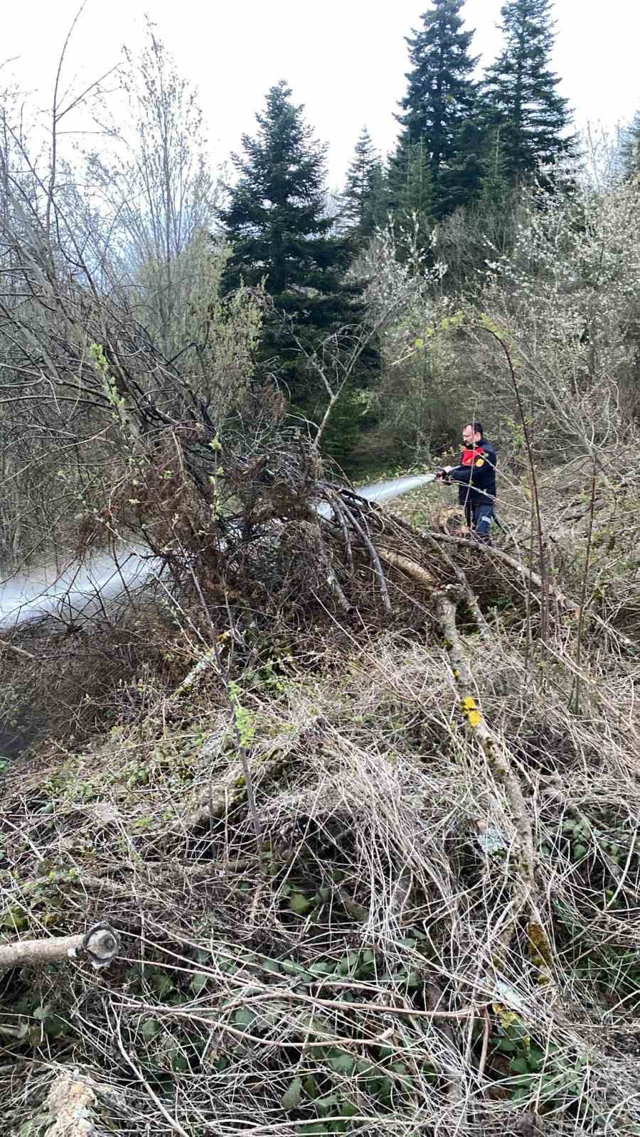 Ormanlık alanda çıkan yangın büyümeden söndürüldü
?v=1