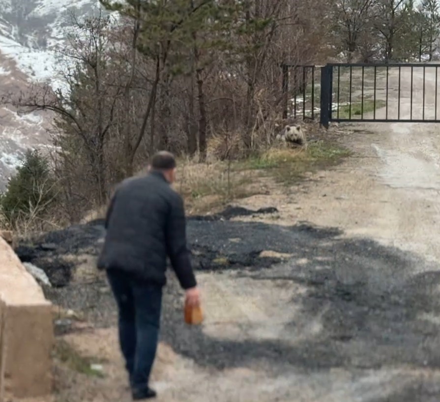 Gümüşhane’de aç kalan yavru ayıyı elleriyle beslediler
?v=1