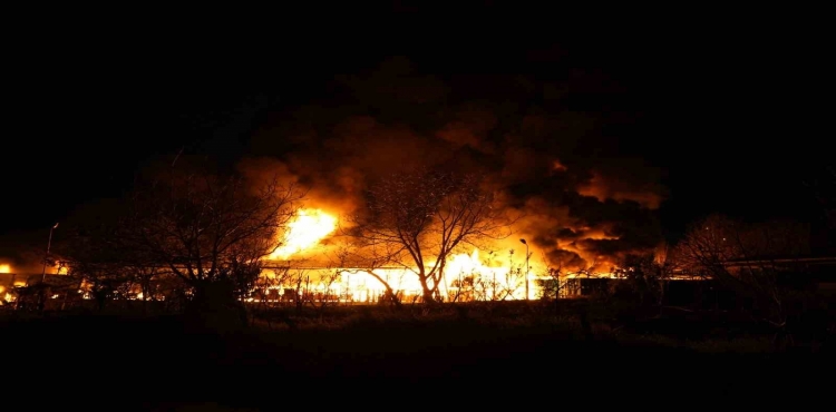 Samsun’da meyve deposunda yangın: Ekipler müdahale ediyor?v=1