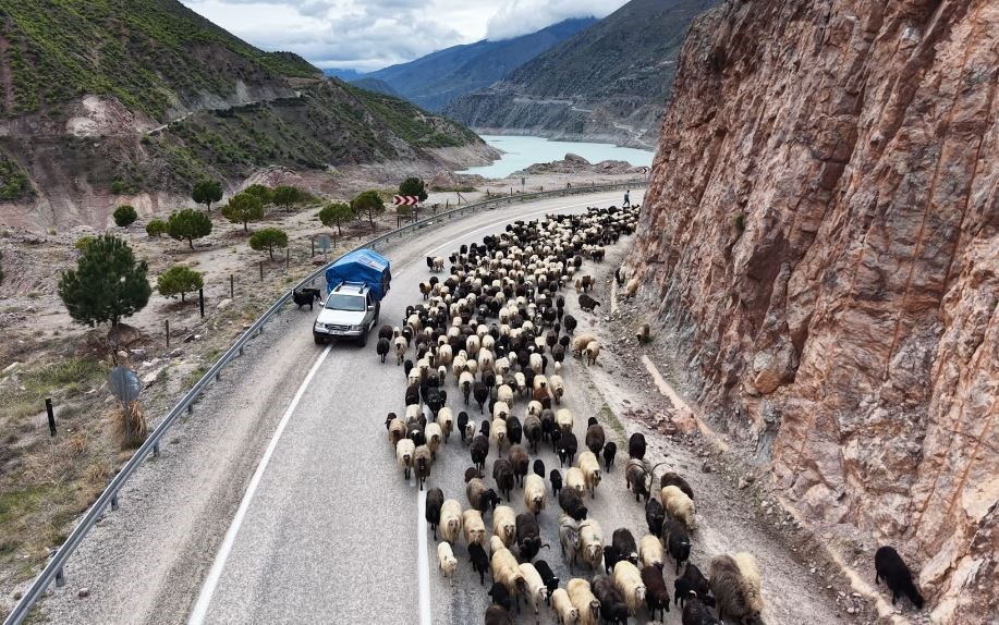 Yayla yolunda zorlu göçler başladı
?v=1