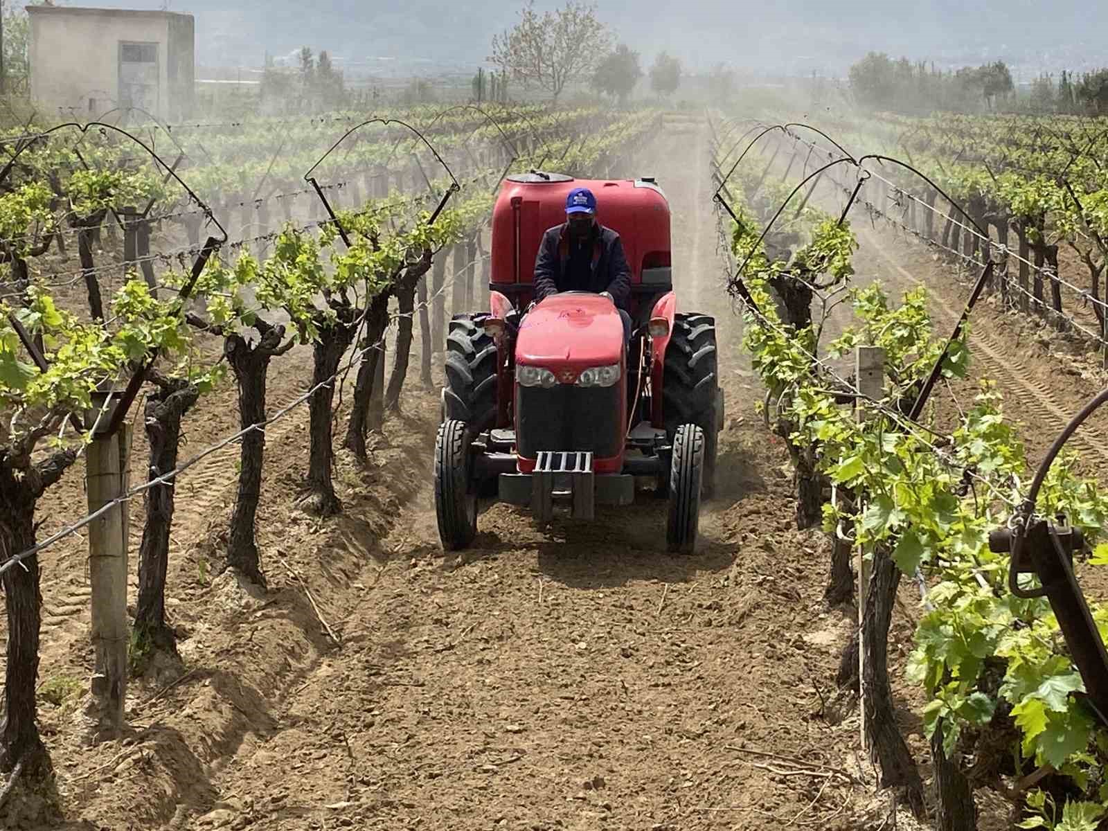 Alaşehir’de  3K Bağcılık  ile kalıntısız üretim başladı
?v=1