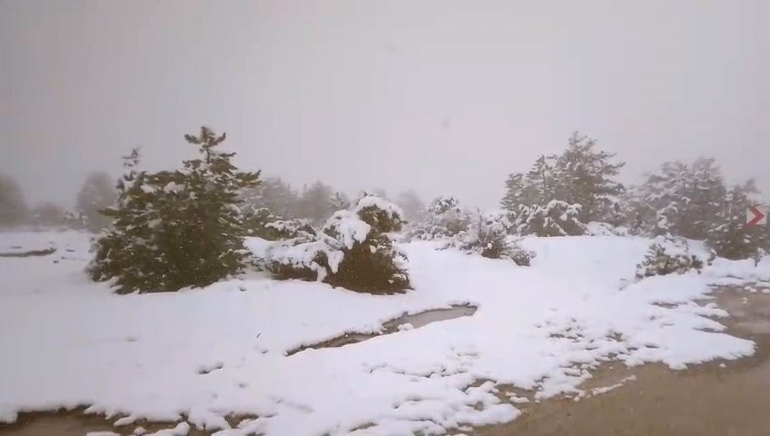 Baharı beklerken kar geldi
?v=1