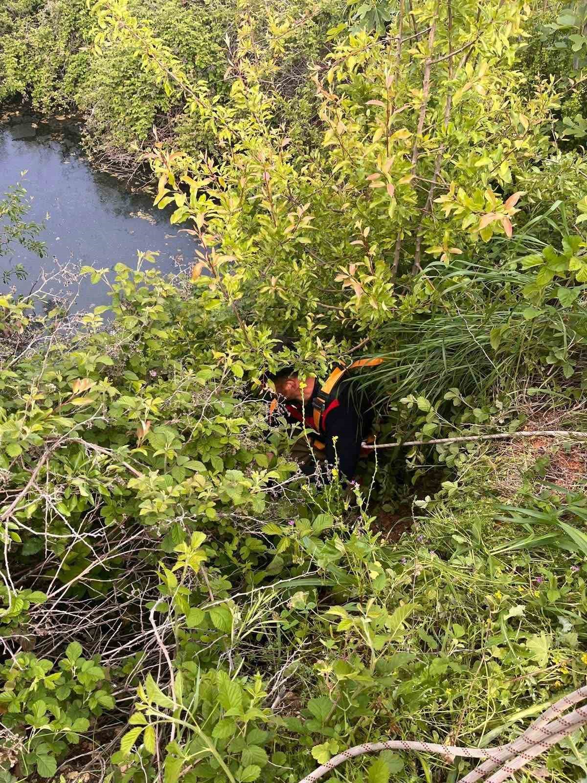 Yayladağı’nda gölete düşen büyükbaş hayvan kurtarıldı
?v=1