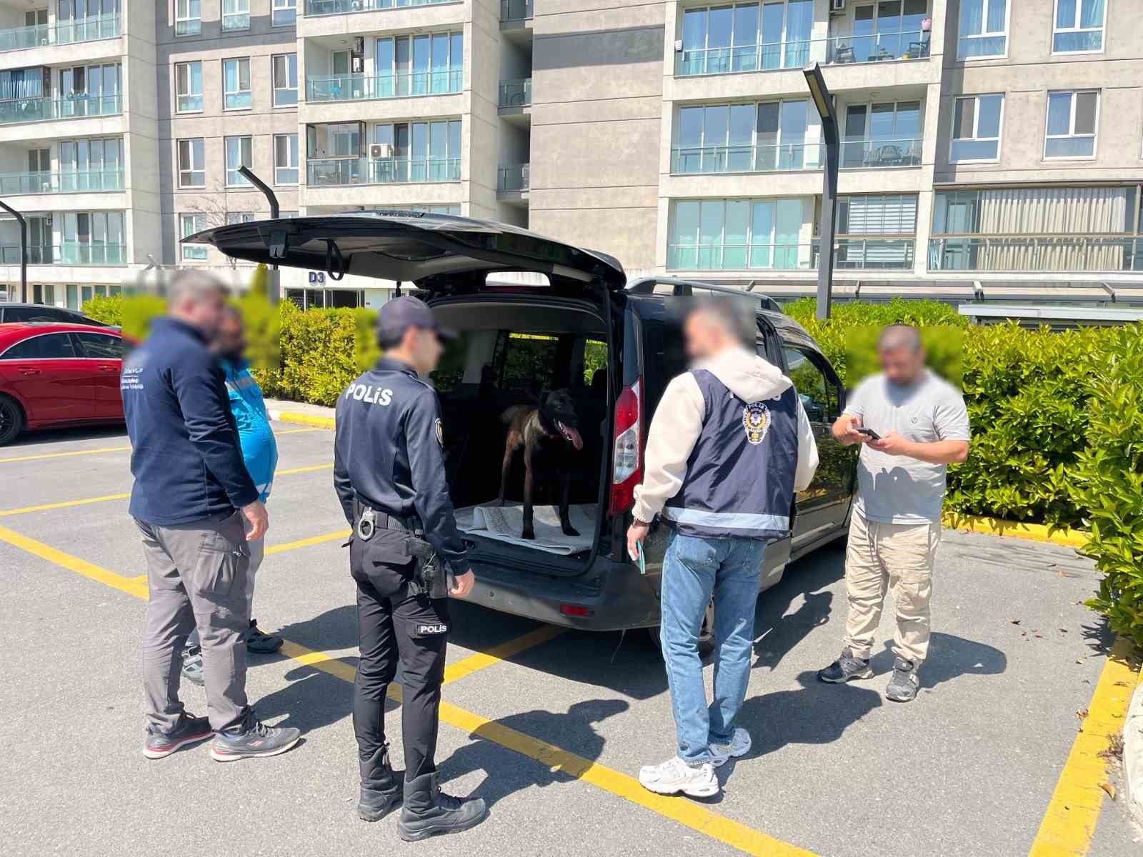 Avcılar’da köpeğe kötü muamelede bulunan şahıs yakalandı
?v=1