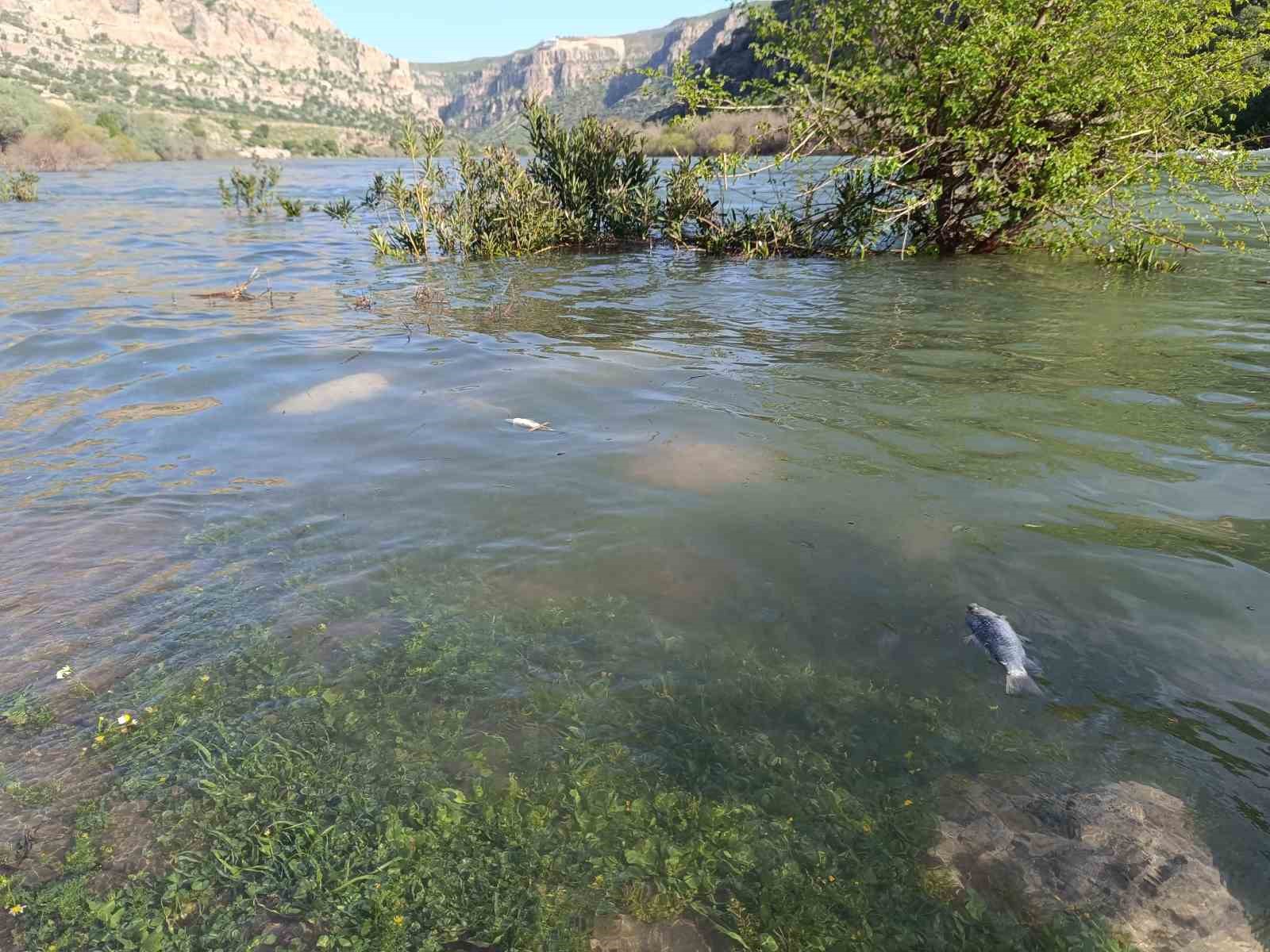 Dicle Nehri’nde balık ölümleri tedirgin etti
?v=1