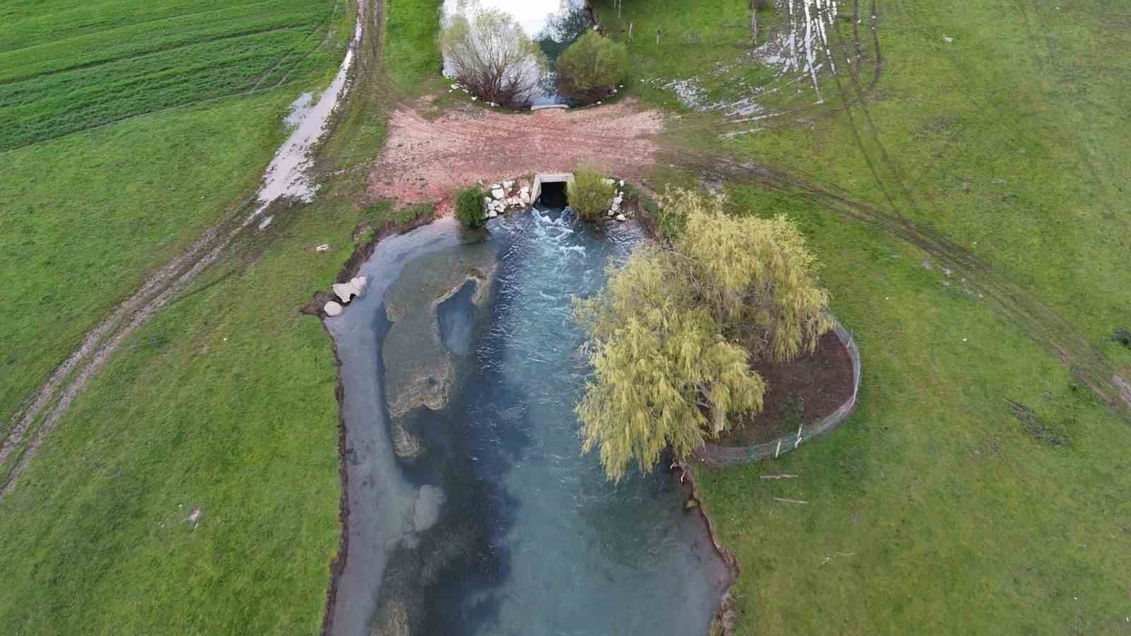 Leyleklerin durağı yemyeşil görüntüsüyle mest ediyor
?v=1