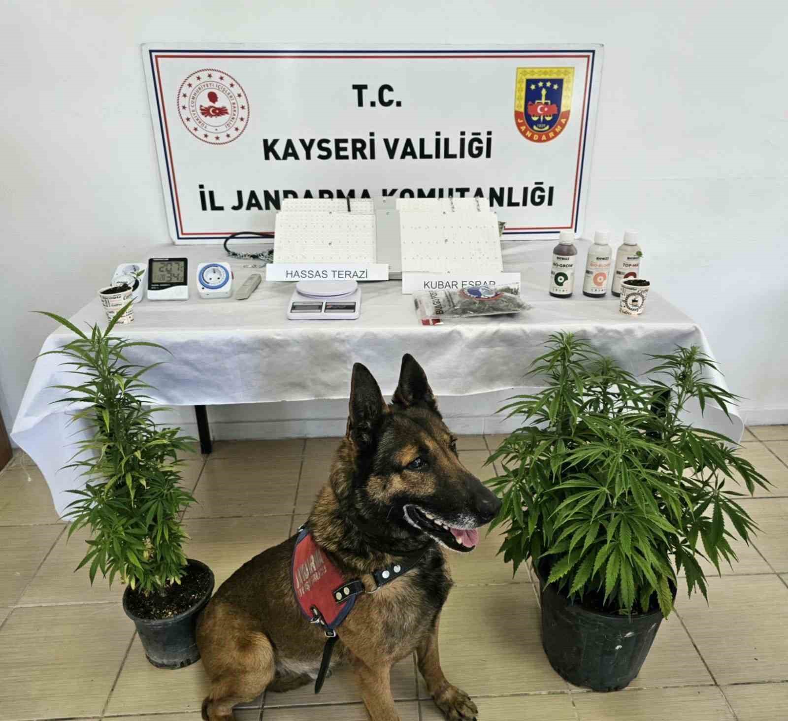 Kayseri’de uyuşturucu operasyonu
?v=1