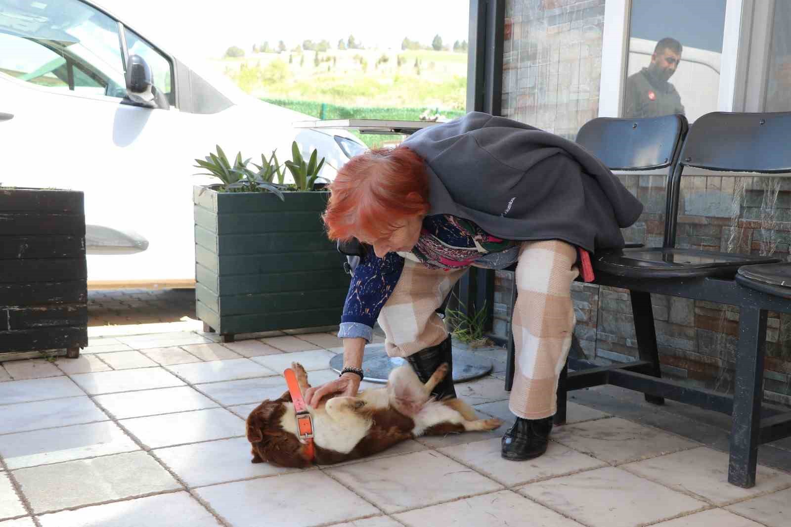 Yalova’da Cevriye teyze can dostu ile duygulandıran buluşma
?v=1