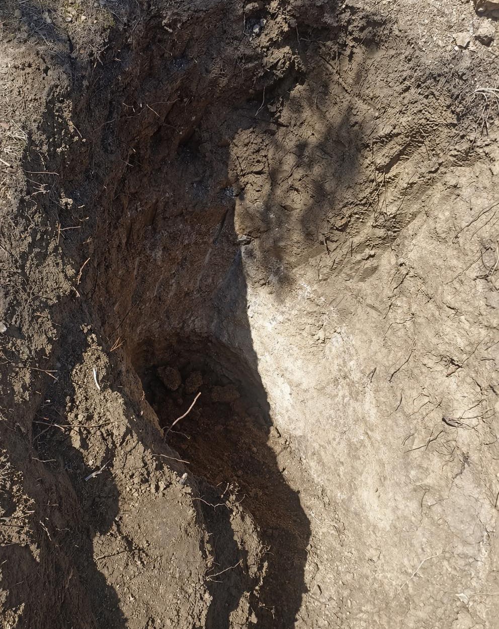 Tekirdağ’da mezarlıkta define aradılar
?v=1