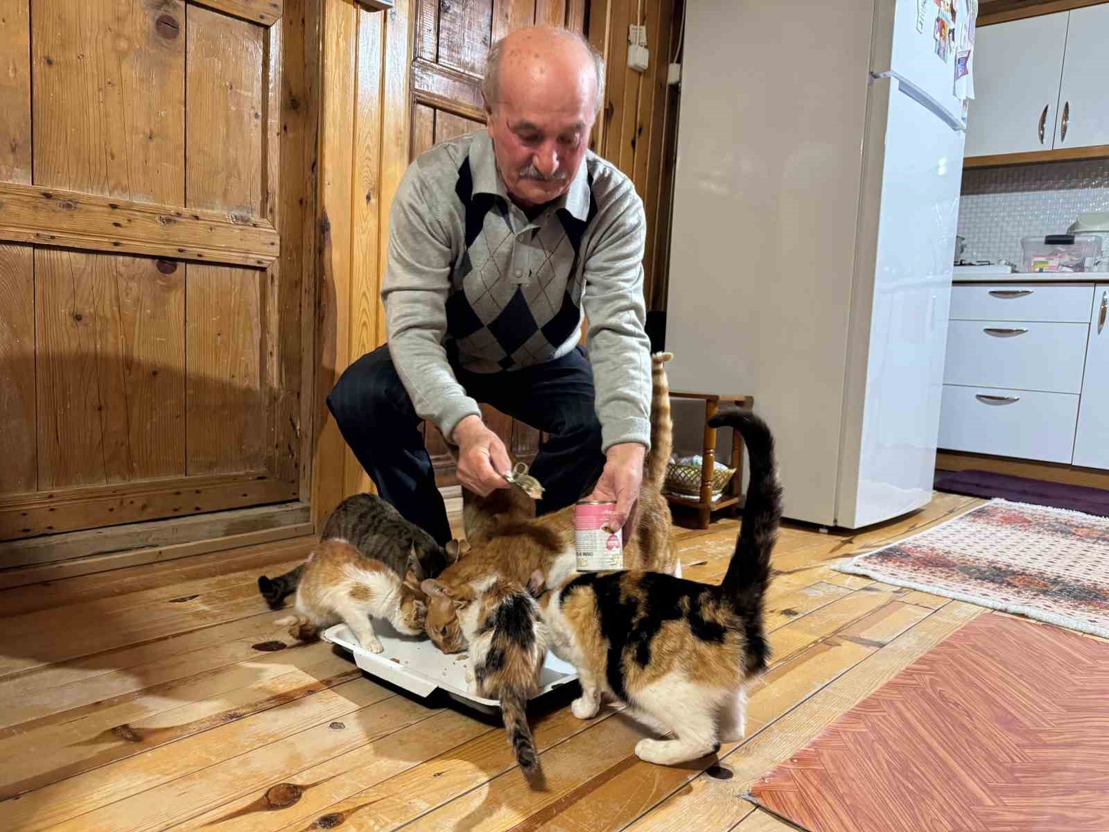 Sokak kedilerine evinin kapısını açtı, onlara yuva oldu
?v=1