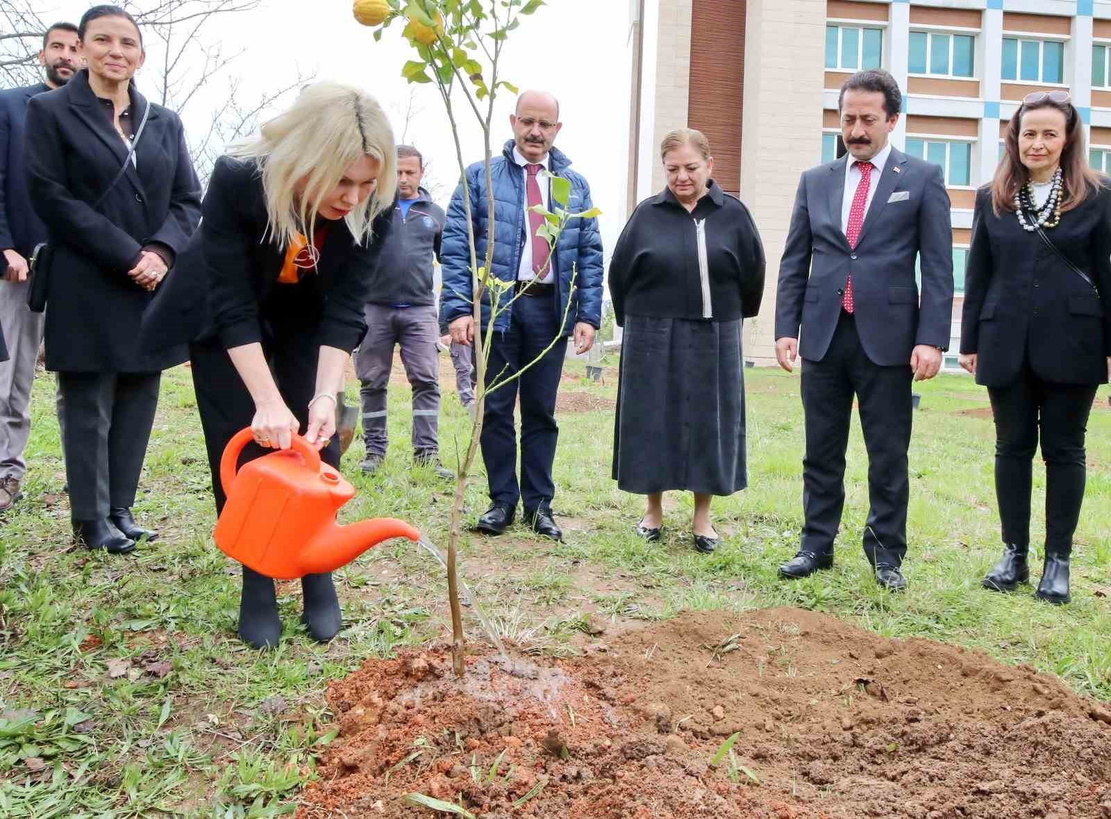 Akdeniz Üniversitesi’nde son 2 yılda 5 bin fidan dikildi
?v=1