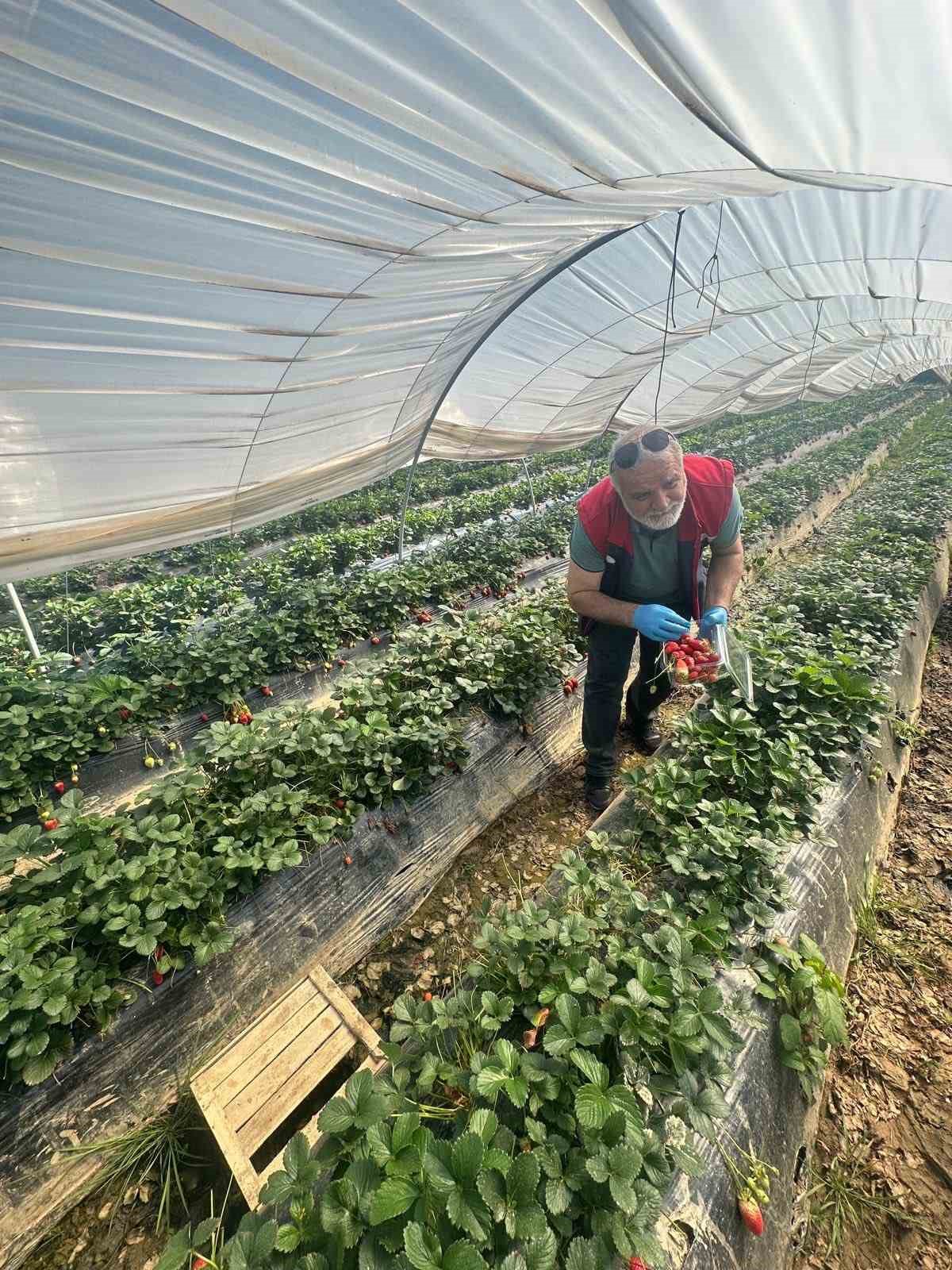 Köşk’ten Sultanhisar’a çapraz denetim
?v=1