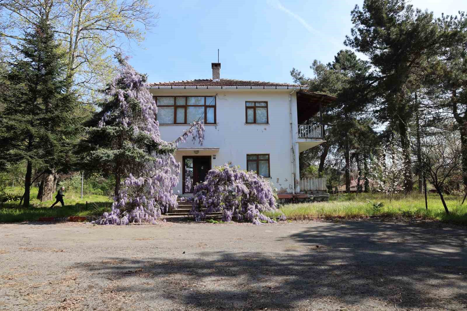 Rektör Özölçer, Teoman Duralı’nın Çocukluk Evinde İncelemelerde Bulundu
?v=1