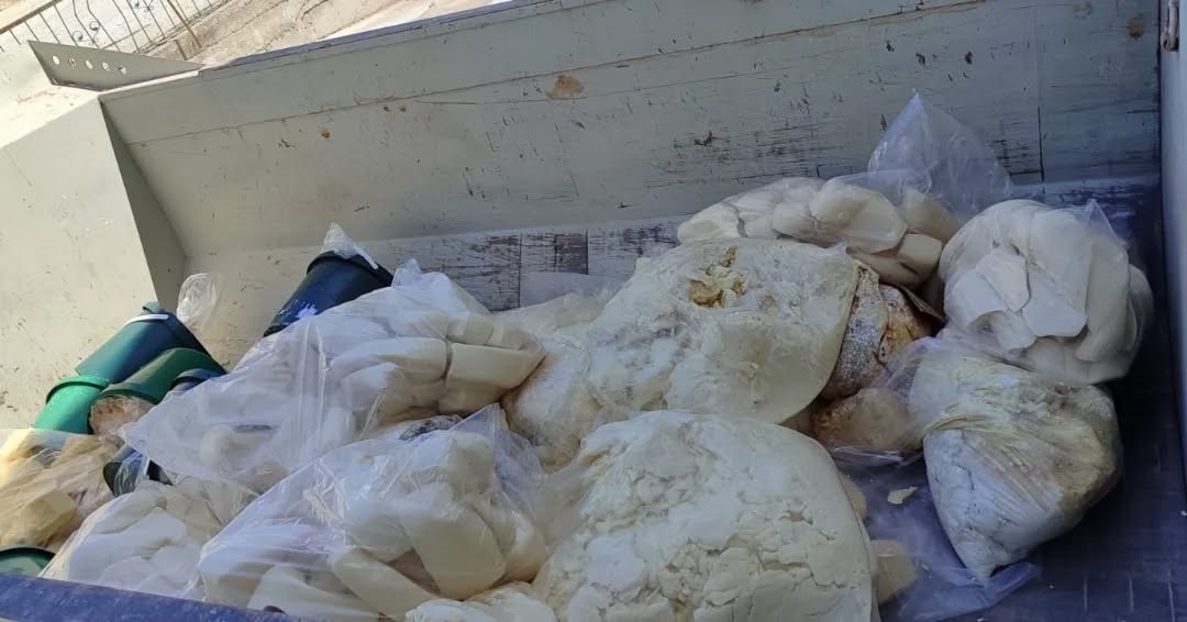 Aydın’da 11 ton süt ürünü imha edildi
?v=1