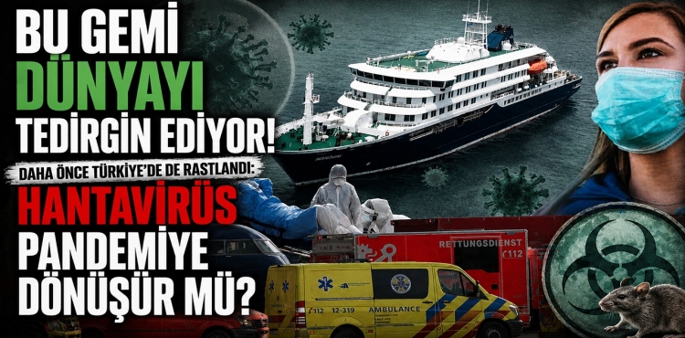 Bu Gemi Dünyayı Tedirgin Ediyor Daha Önce Türkiye'de De Rastlandı  Hantavirüs Pandemiye Dönüşürmü