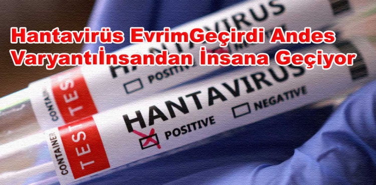 Hantavirüs Evrim Geçirdi Andes Varyantı İnsandan İnsana Geçiyor?v=1