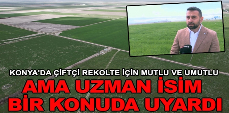 Konya'da Çiftçi Rekolte İçin Mutlu Ve Umutlu Ama Uzman İsim Bir Konuda Uyardı?v=1