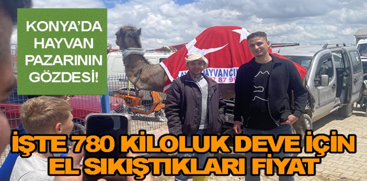 Konya'da Hayvan Pazarının Gözdesi