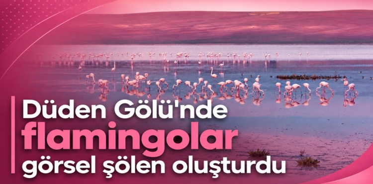 Düden Gölü'nde flamingolar Görsel Şölen Oluşturdu?v=1