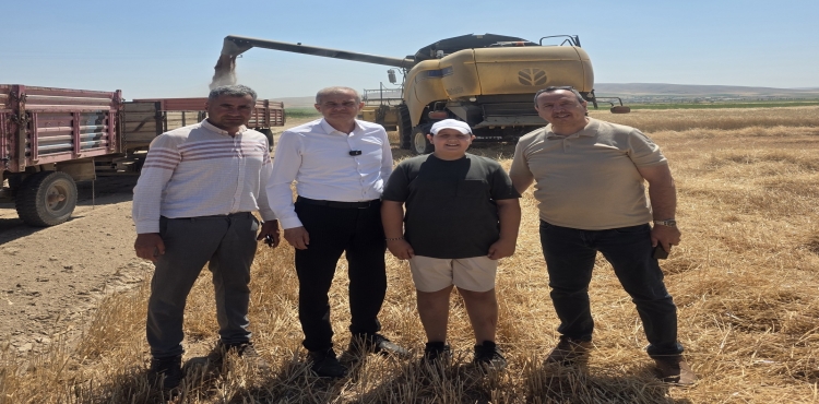 Altınekin'de Hasada Katılan Hasan Yel'den Dikkat Çeken Çıkış