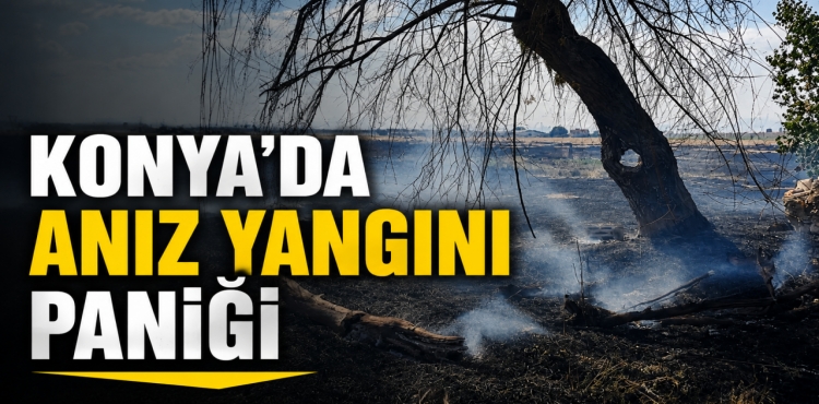 Konya’da Anız Yangını Paniği?v=1