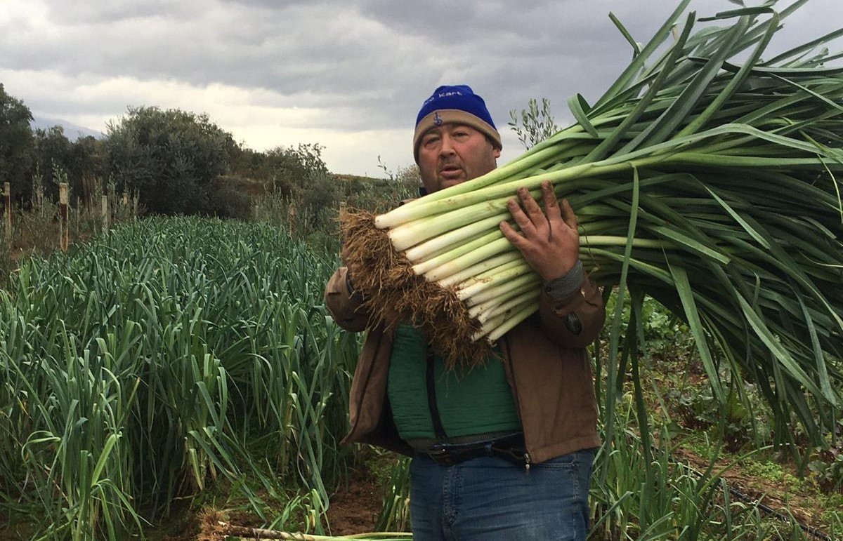 Manisalı üretici 35 yıl sonra ata tohumlarıyla sebze yetiştirmeye başladı
