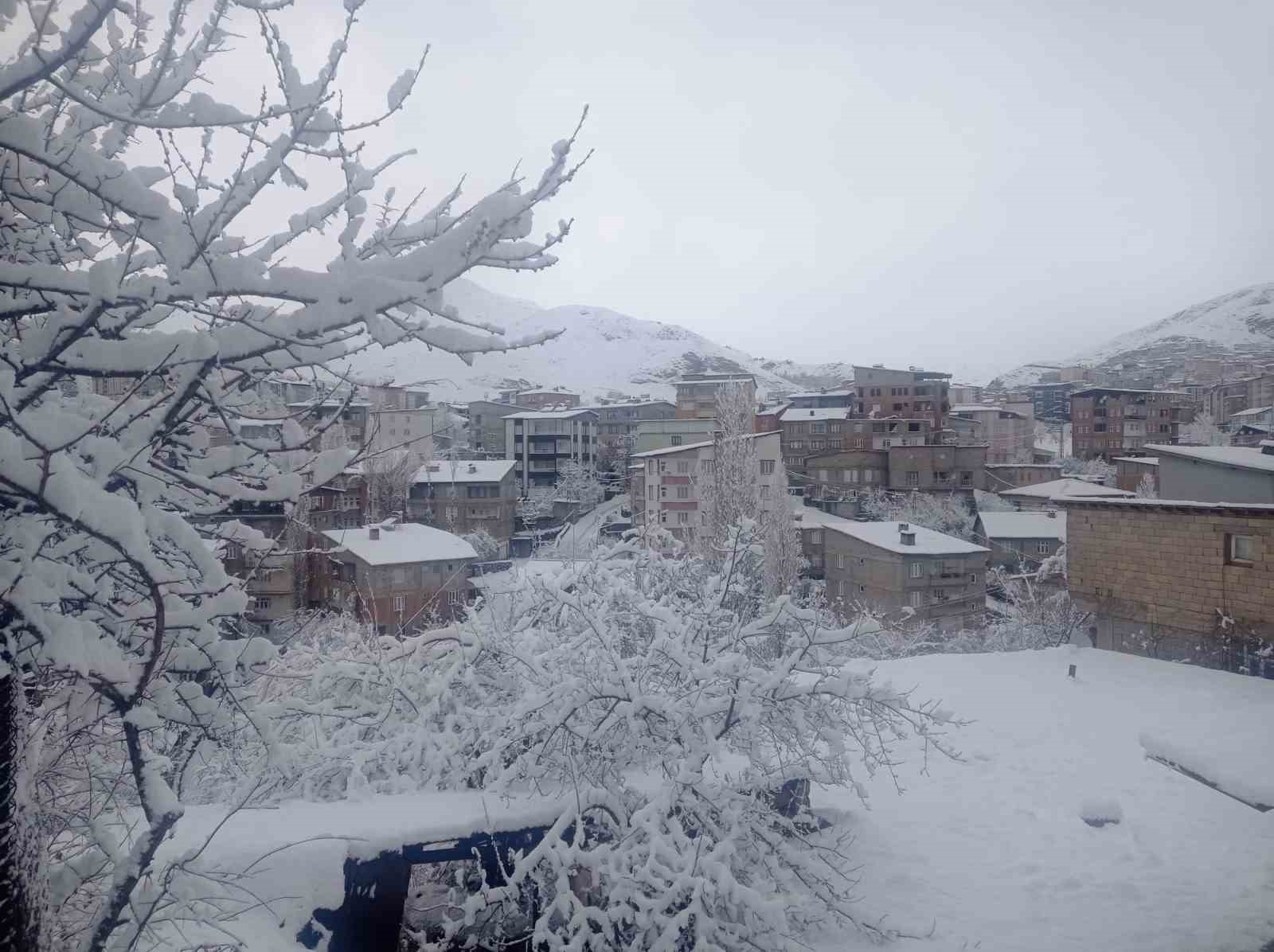 Hakkari kar hapsinde: Okullar tatil edildi, 284 yerleşim yerinin yolu kapandı
