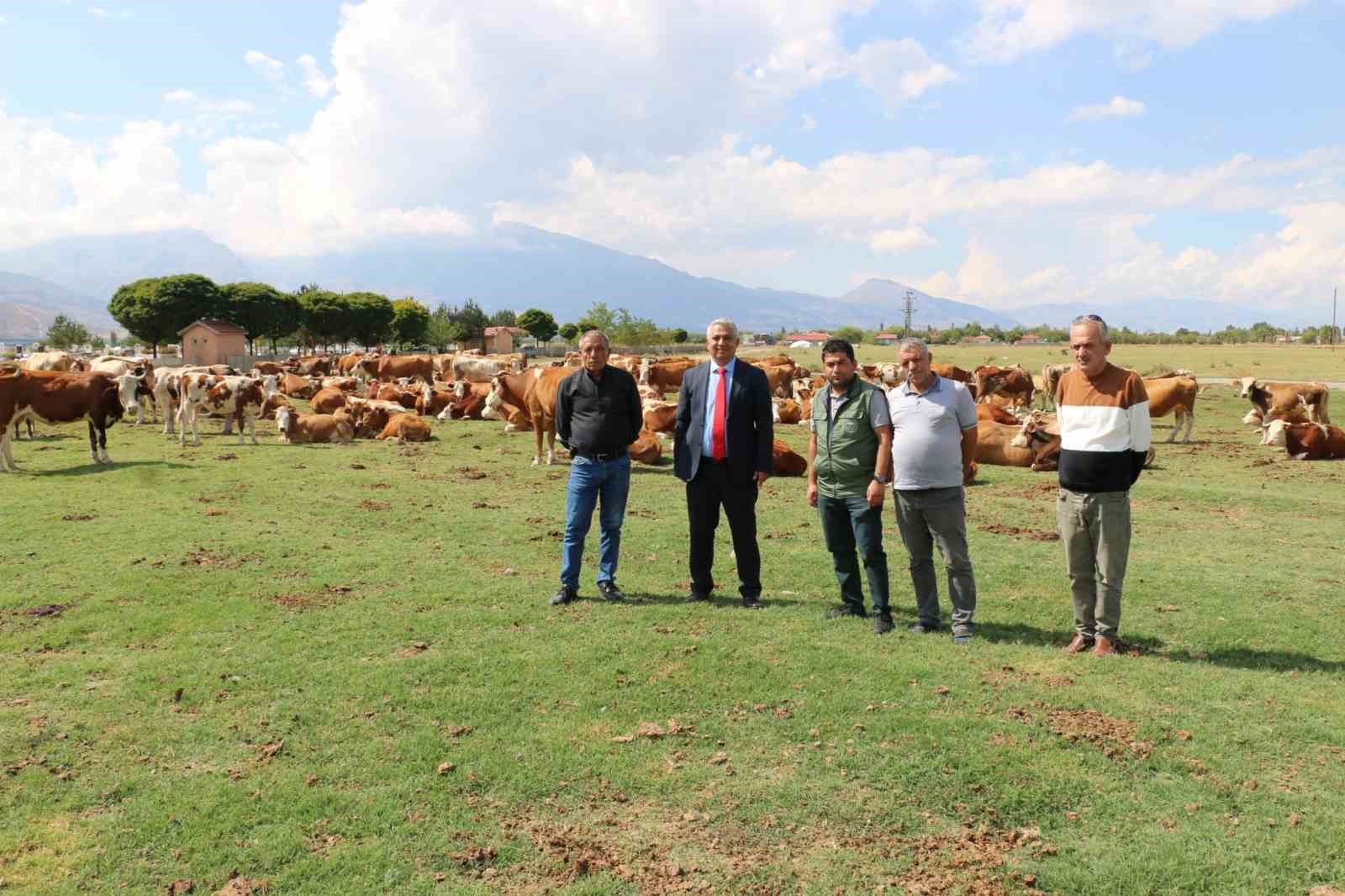 Erzincan Mera Islah Projeleri incelendi
