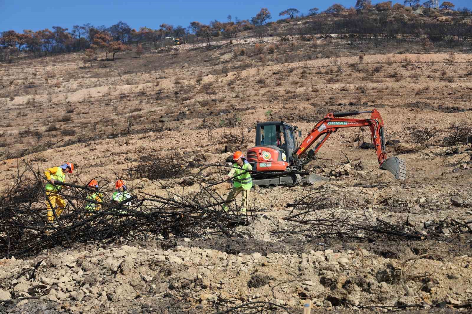 İzmir’de yanan ormanlık alana 1 milyon 100 bin fidan dikilecek
