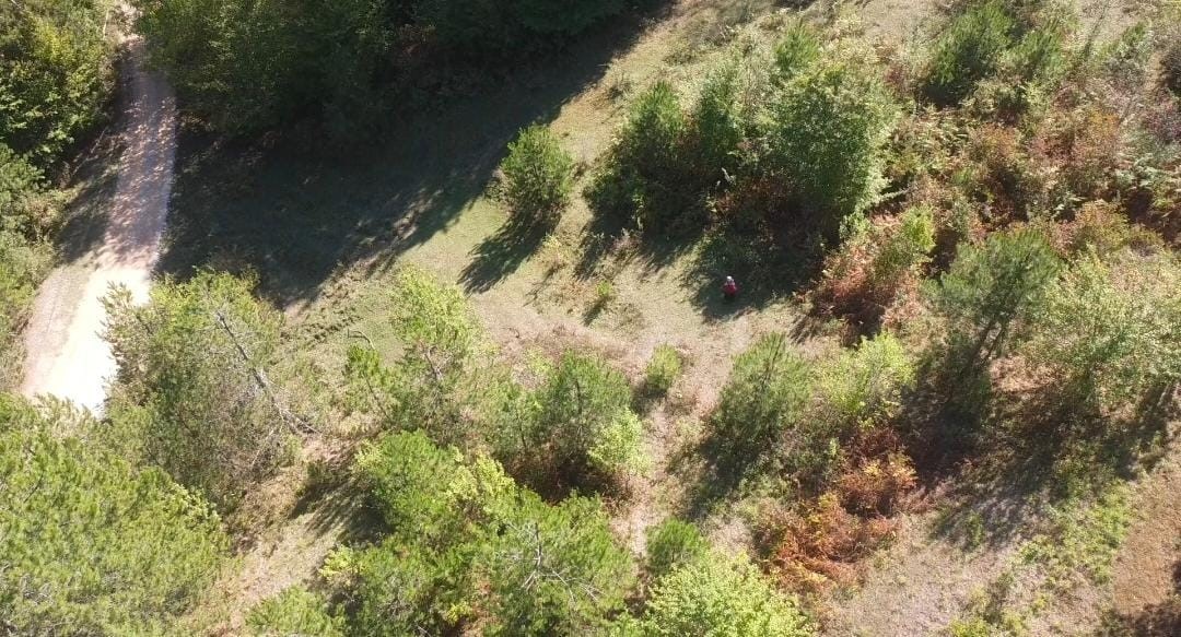 Yasağa rağmen mantar toplamak için ormana girenler dronla tespit edildi
