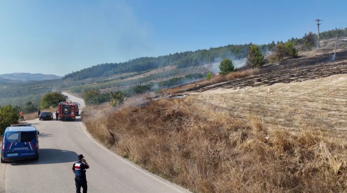 Ormanlık alanda korkutan yangın
