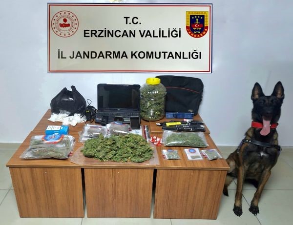 Jandarma ekipleri Erzincan’da uyuşturucuya geçit vermiyor
