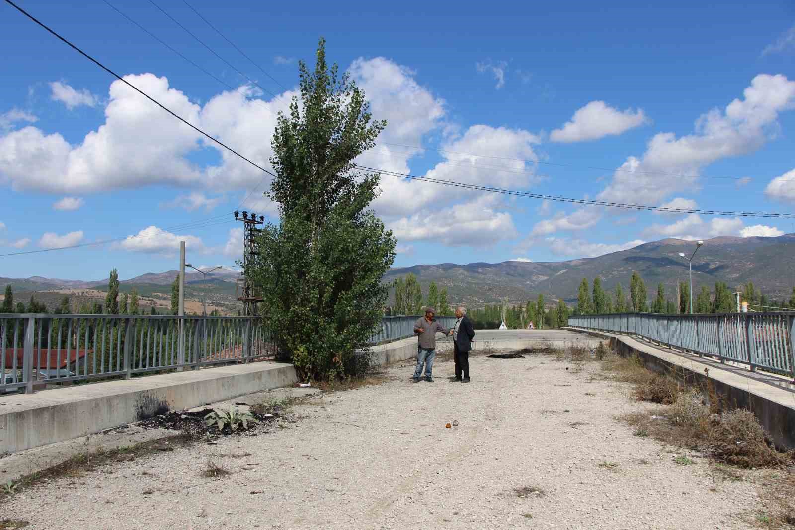 Amasya’da 16 yıldır tamamlanamayan üstgeçitte ağaçlar bitti
?v=1