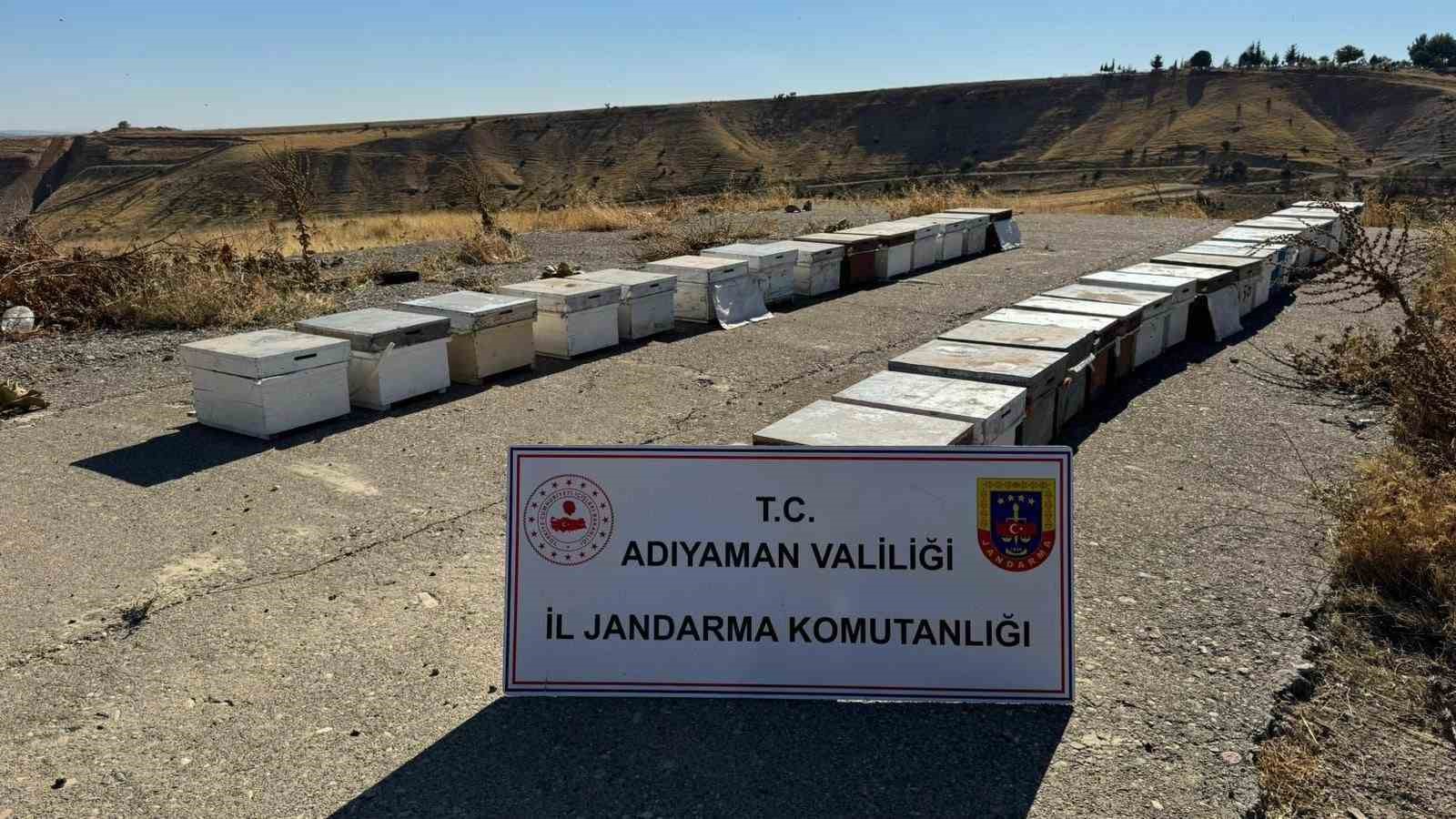 Arı kovanlarını çalan şahıs yakalandı
