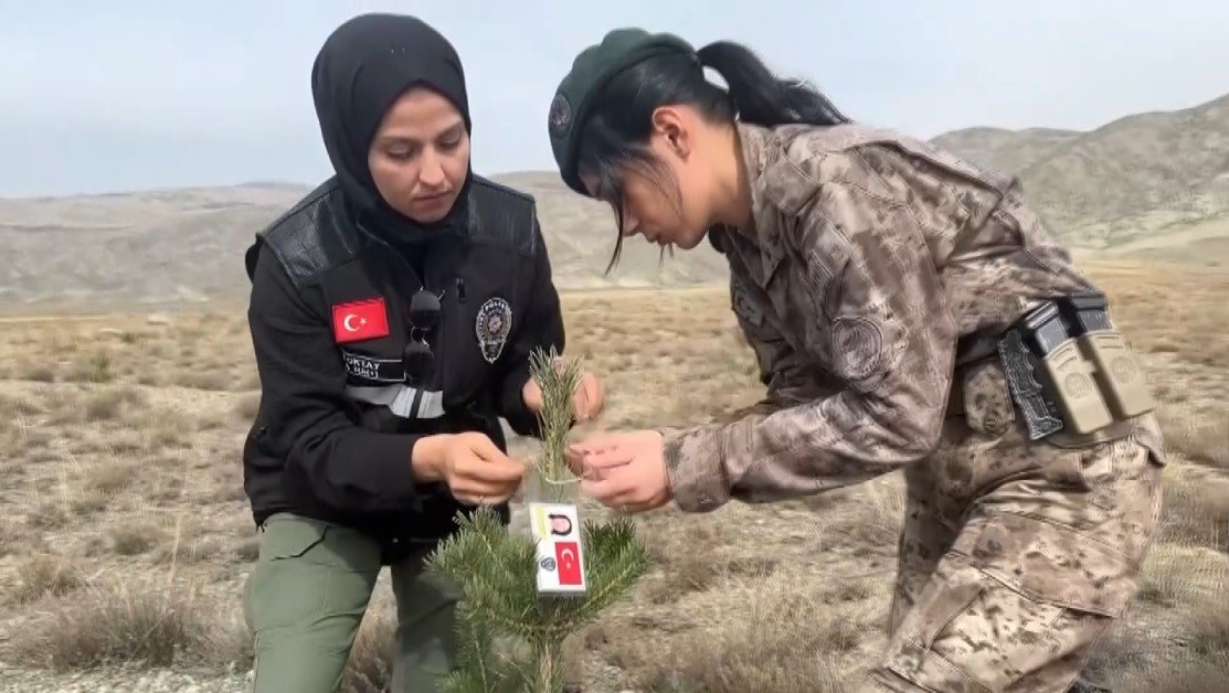 Kadın polisler, şehit kadın polislerin anısına fidan diktiler
?v=1