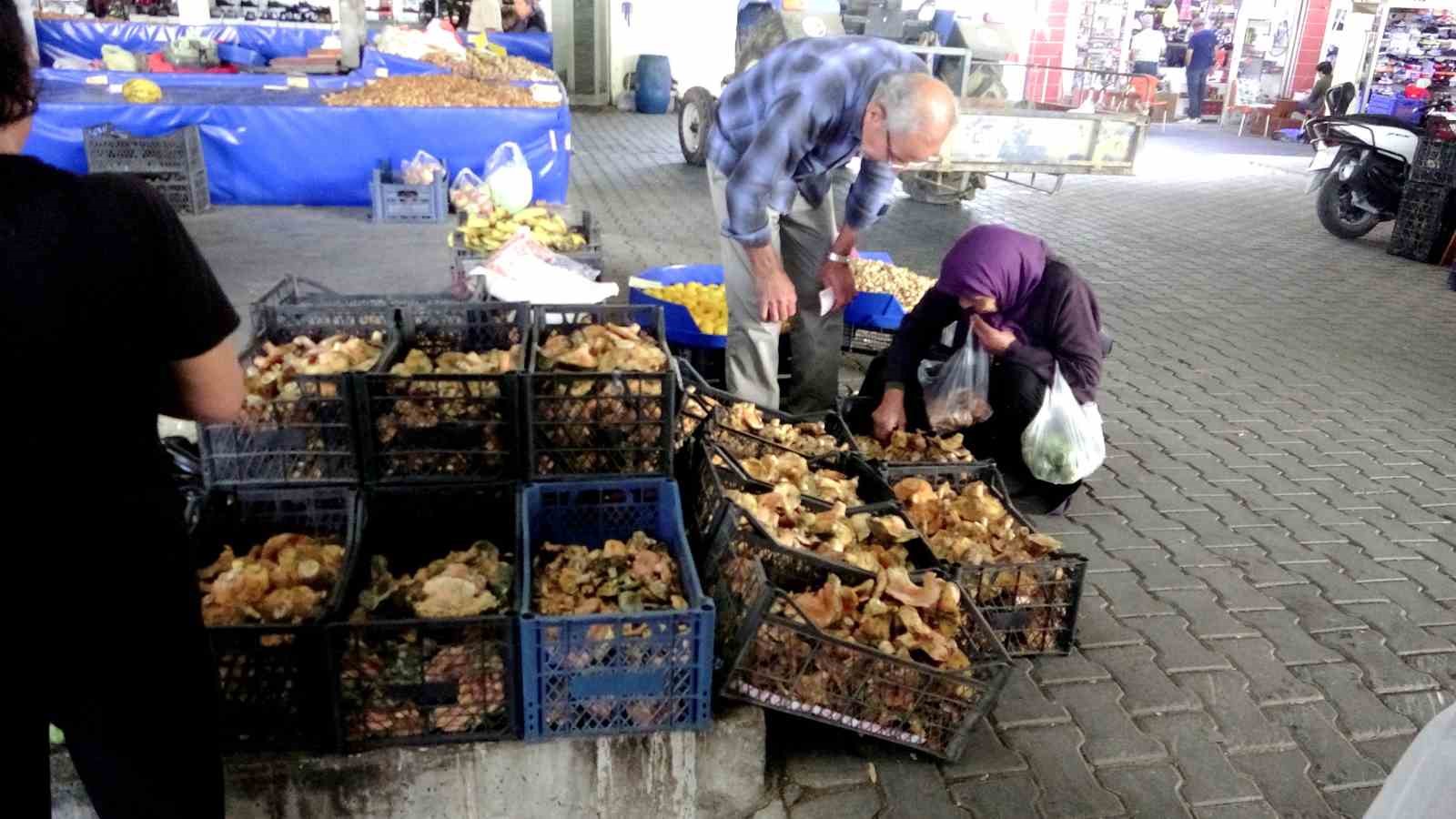 Çıntarlar pazar tezgahlarında yerini aldı
