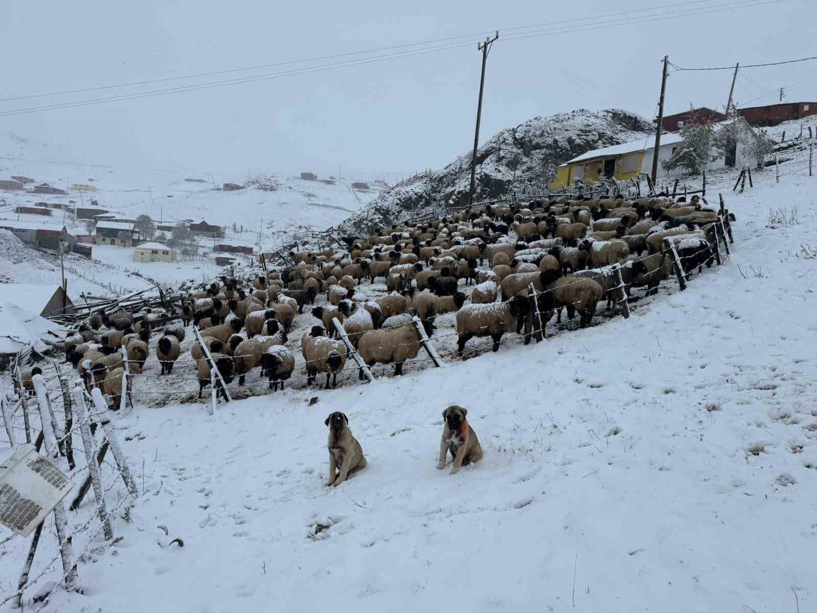 Kadırga Yaylası’na kar düştü, yaylacılar dönüşe geçti
