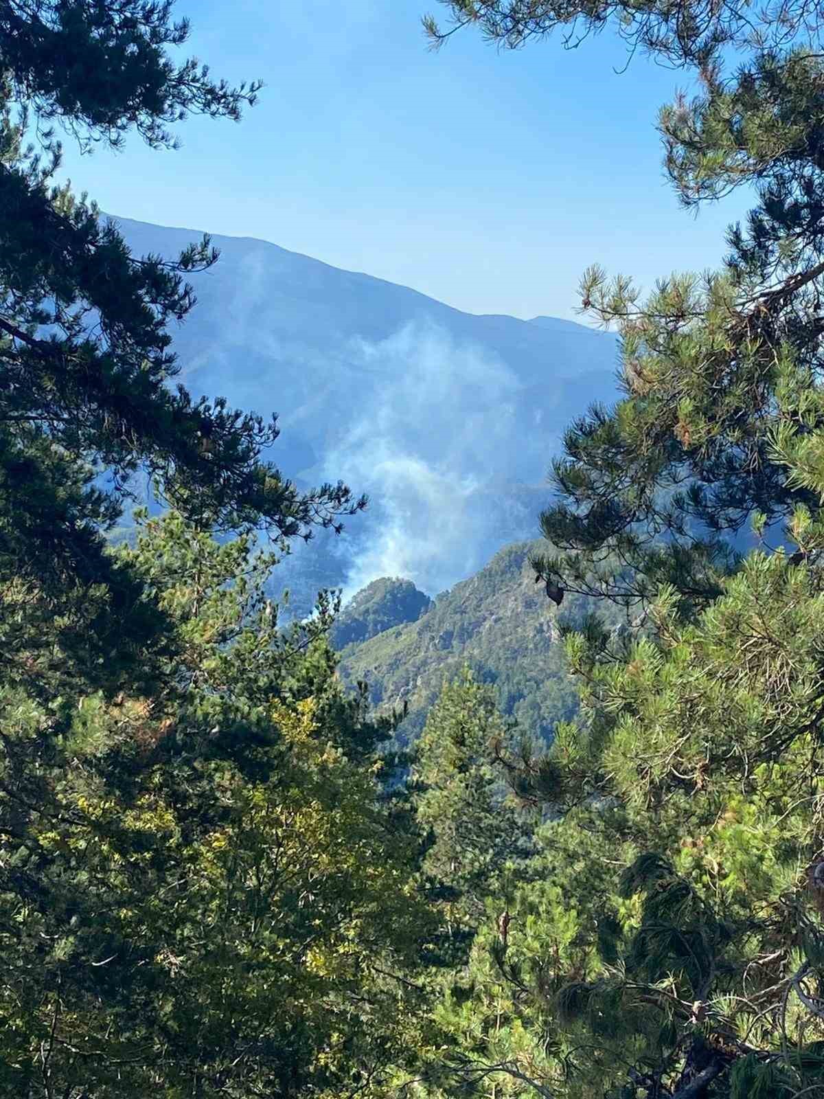 Hatay’da orman yangını
