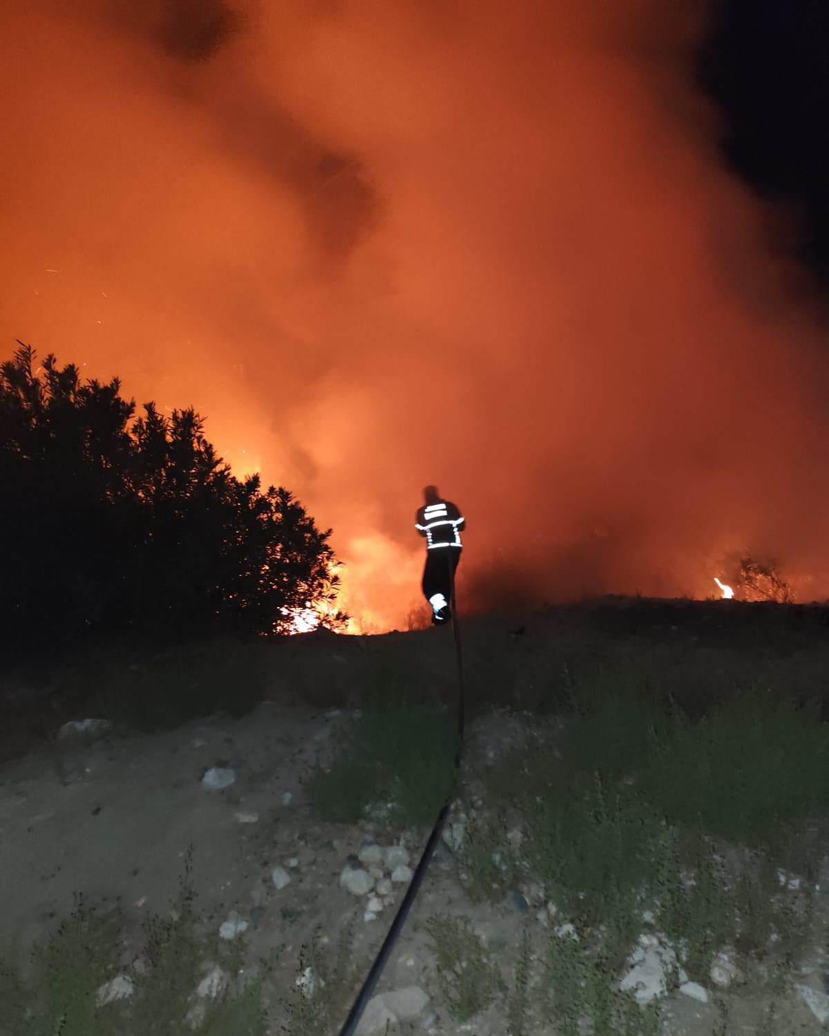 Antakya’da ormanlık alanda yangın
