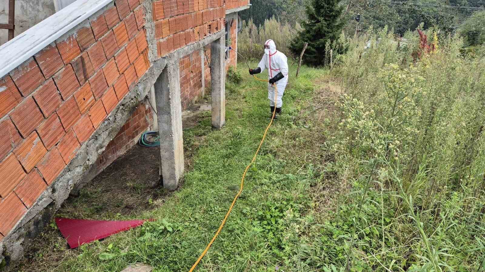 Doğu Karadeniz’in en büyük ilçesi Ortahisar’da kahverengi kokarca ile mücadelede ilaçlama seferberliği başlatıldı
